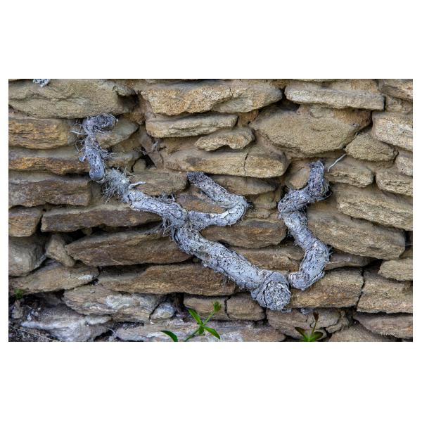 PHOTO84, CLUB, 84 , LUBERON